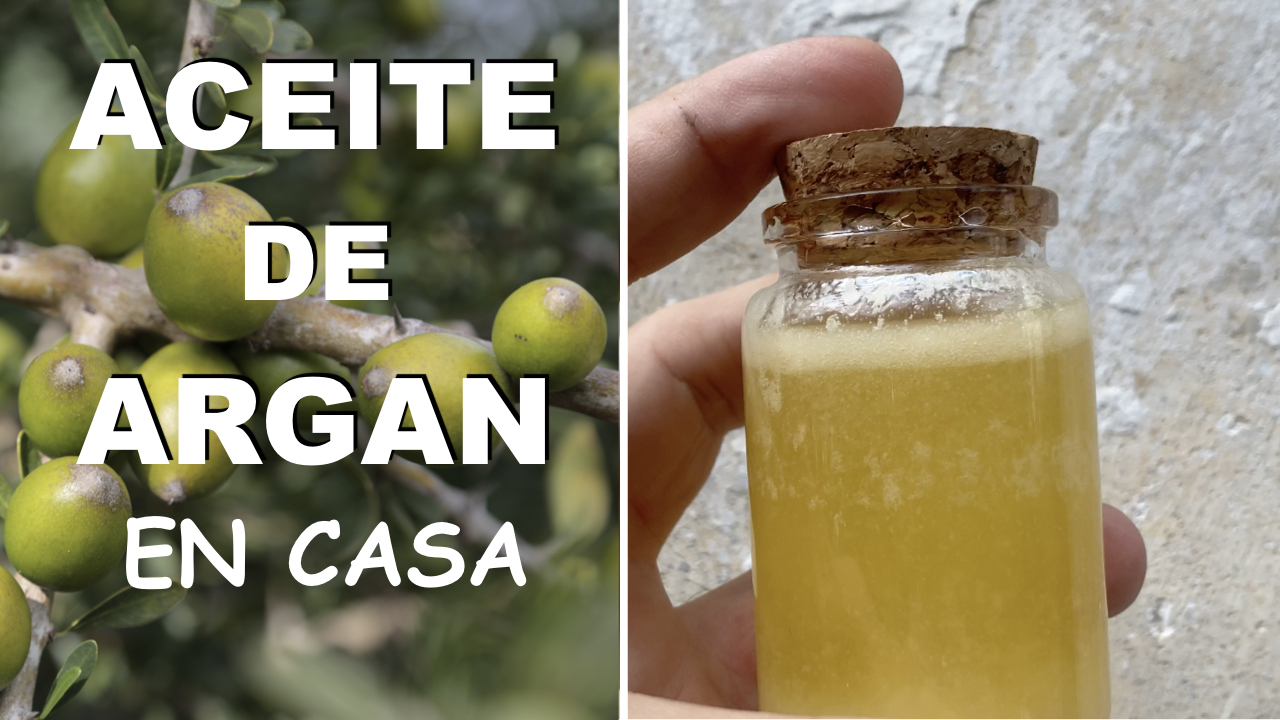 Os mostramos como hacer aceite de argán en casa. 